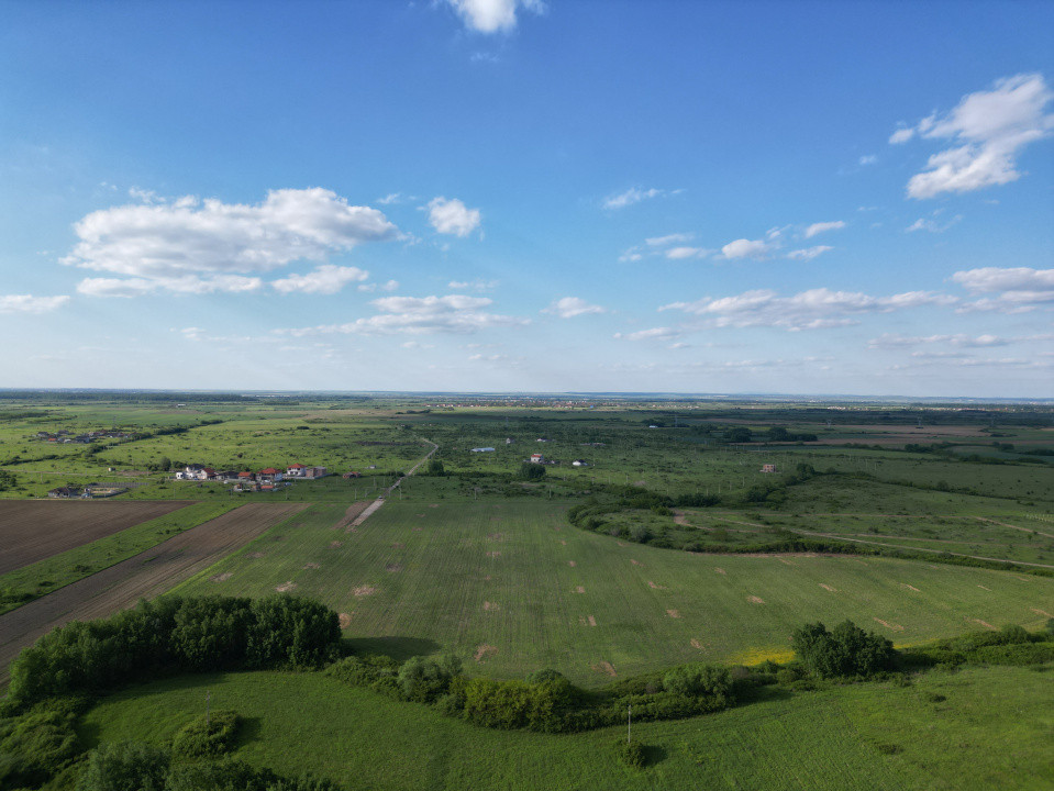 Direct Proprietar, Comision 0%, 676 MP 