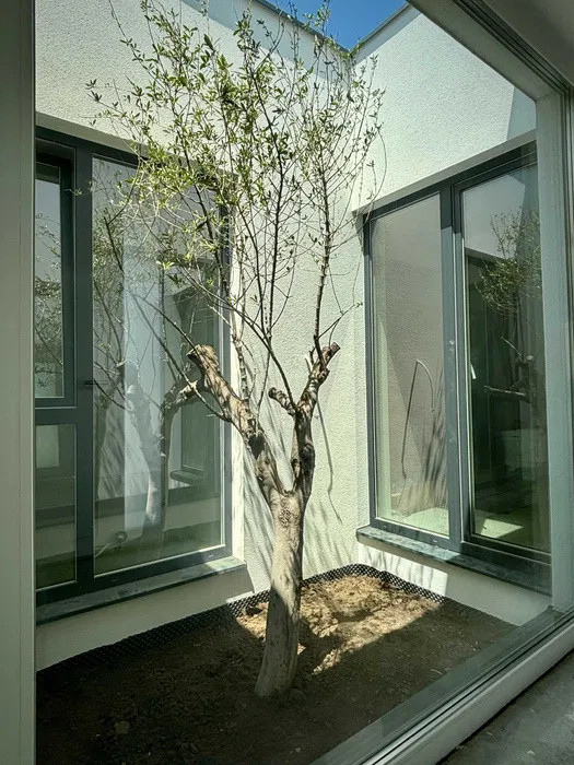 Duplex intabulat, cu 4 camere,gradina interioara, 435mp teren