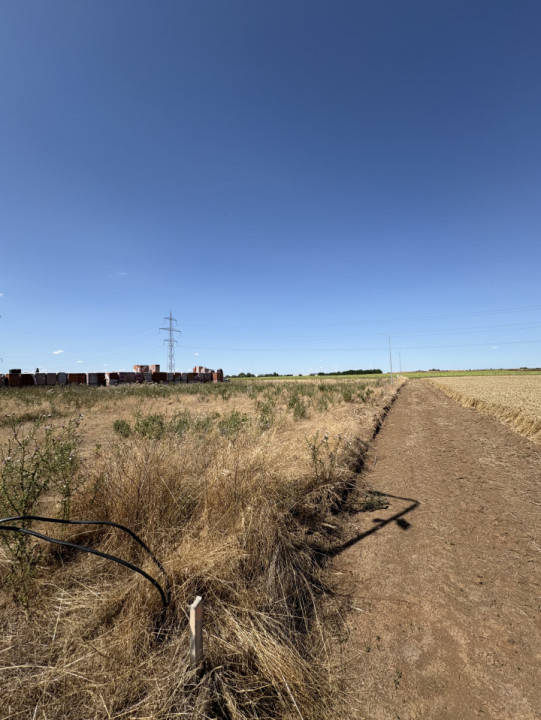 Teren Dumbrăvița, zona lac