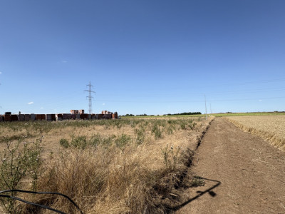 Teren Dumbrăvița, zona lac