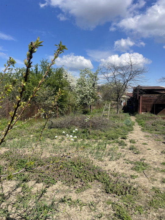 Casa in Timisoara cu 4 apartamente, 440mp teren propriu