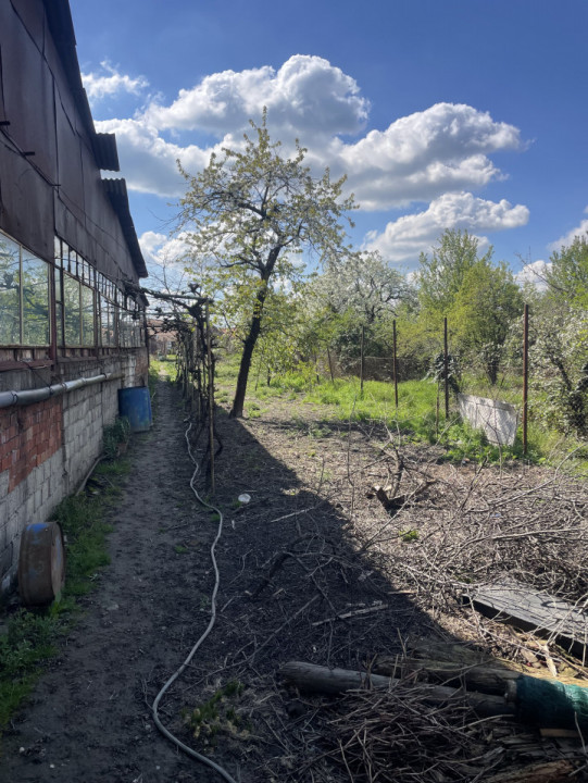 Casa in Timisoara cu 4 apartamente, 440mp teren propriu