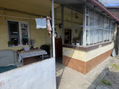 Casa in Timisoara cu 4 apartamente, 440mp teren propriu