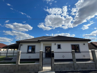 VANZARE CASA INDIVIDUALA , DEZVOLATOR , UTVIN