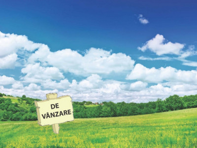 Teren de vanzare , Dumbravita lac