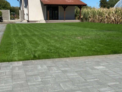 DIRECT DEZVOLTATOR , UTVIN, CASA INDIVIDUALA