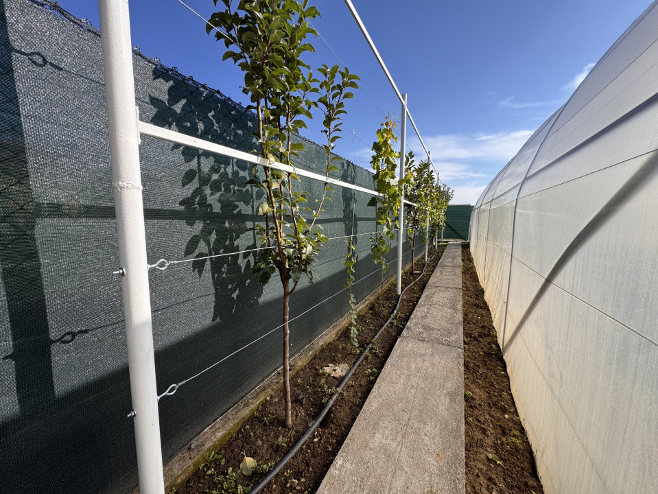 CASA INDIVIDUALA, COMPLET MOBILATA SI UTILATA, 740 MP TEREN.