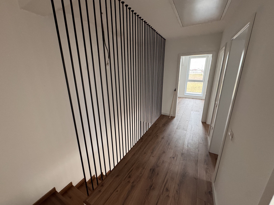 DIRECT DEZVOLTATOR, ASFALT, SPATIOS 