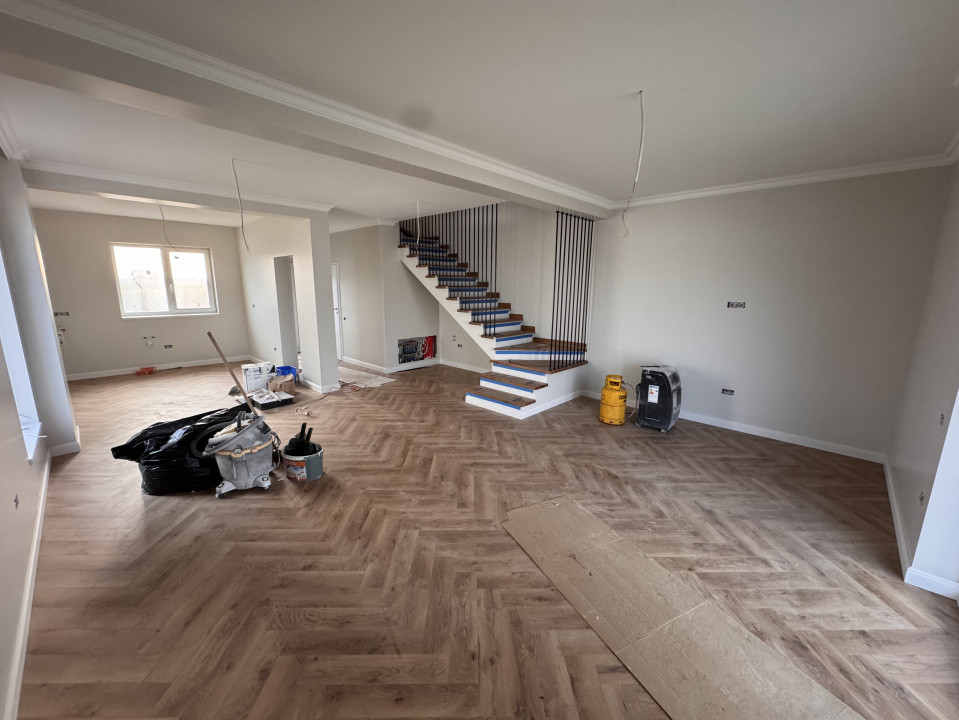 DIRECT DEZVOLTATOR, ASFALT, SPATIOS 