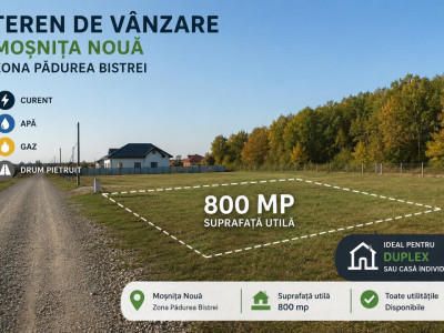 TEREN DUPLEX/INDIVIDUALA, 800MP , PADUREA BISTRA